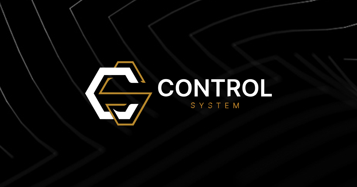 Control System Company - Управување со тимови